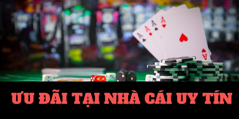 live casino bitcoin casino 🎰 no deposit